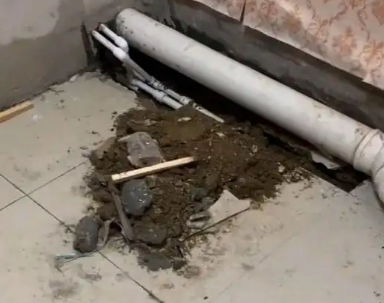 宜州卫生间漏水检测哪家好